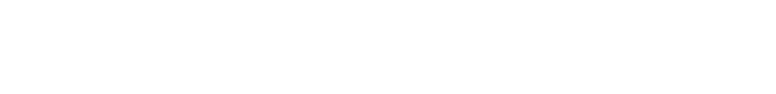 about the project