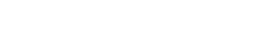 about the project